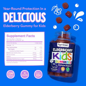 2 Pack of Kids Elderberry Gummy Vitamins Gummies Feel Great 365, LLC 